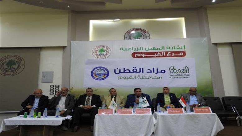 مزاد القطن الأول في محافظة الفيوم