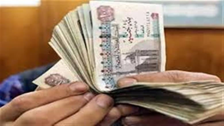 مجلس الدولة: عدم جواز الجمع بين وظيفتين لموظف القطاع العام