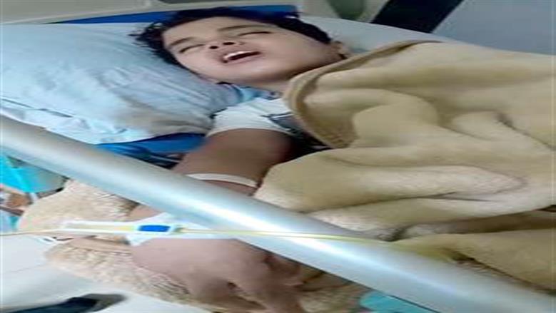 بعد واقعتي «جوري وعمر».. خطة الدولة لمواجهة الكلاب الضالة والقضاء على مرض السعار