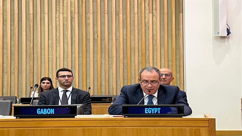 وزير الخارجية في اجتماع لـ«وزاري التعاون الإسلامي»: مصر لن تصبح بوابة لتهجير الفلسطينيين