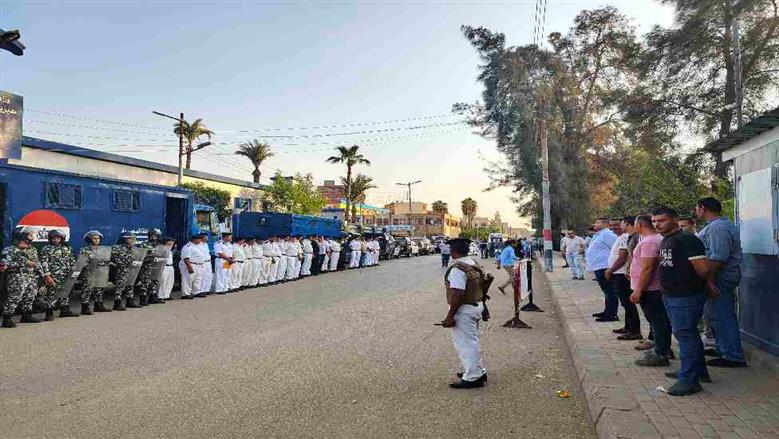 المنوفية