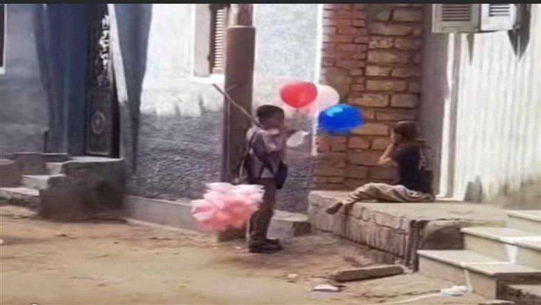 المنيا