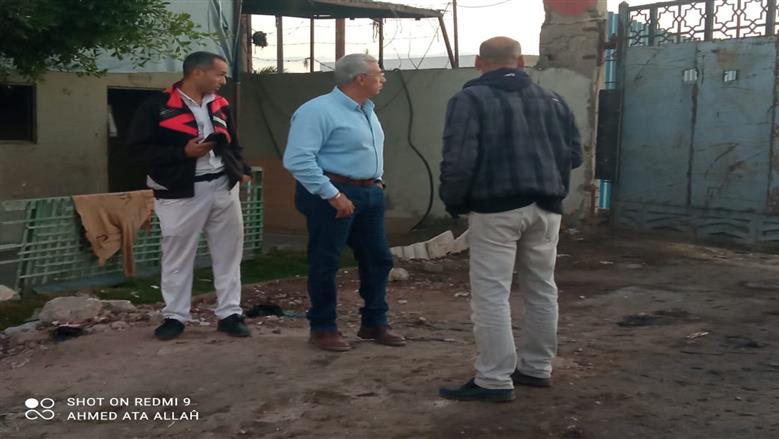 حملات مكثفة لجمع المواشي من شوارع بورسعيد