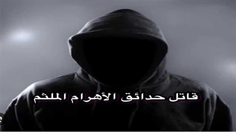 مجزرة في حدائق الأهرام.. ملثم يقتل 500 كلب بمواد مذيبة للجلد