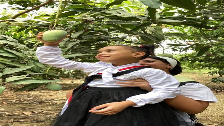 أطفال دمياط يدعمون السياحة الريفية بحصاد الموالح