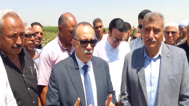 محافظ أسيوط يفتتح موسم جنى القطن