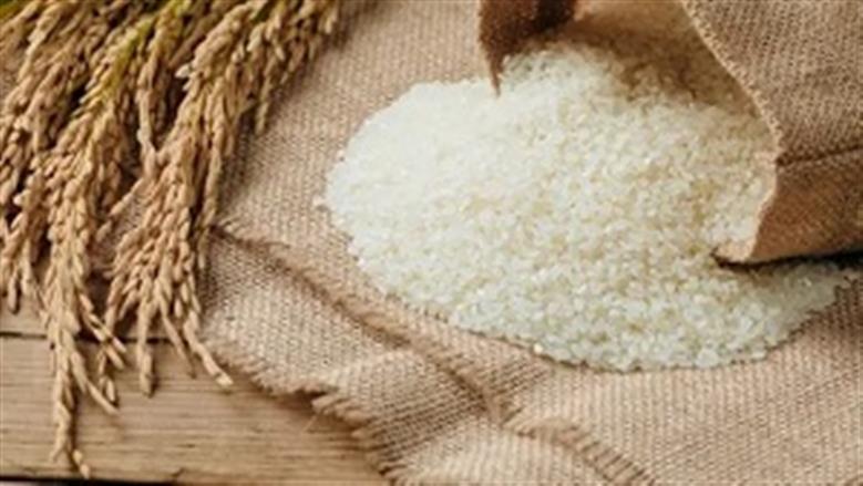 سعر طن الأرز الشعير اليوم الأحد في الأسواق المحلية.. يبدأ من 15.5 ألف جنيه 