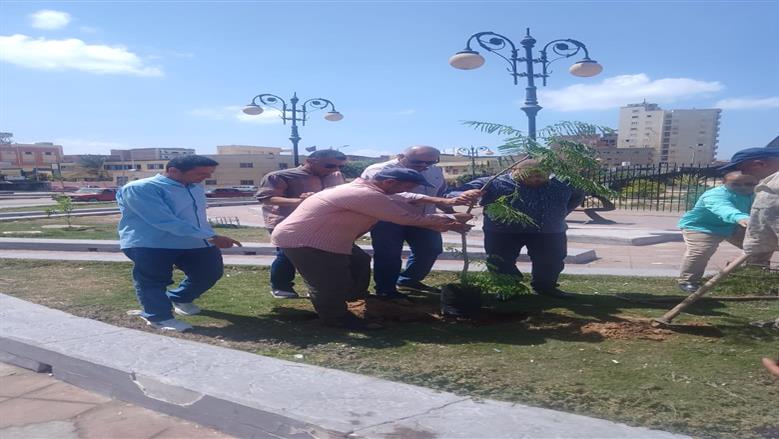 تشجير شوارع البحيرة