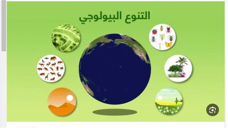 حصاد «البيئة» في 2025: إعلان الحيد المرجاني محمية طبيعية وتأهيل بحيرة قارون