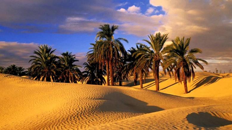 رحلة جديدة من وزارة الشباب والرياضة بـ1500 جنيه..اعرف المكان والموعد
