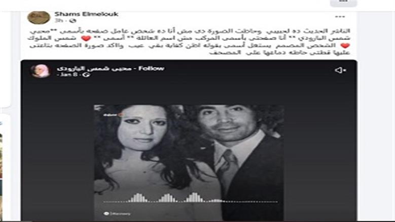 شمس البارودى