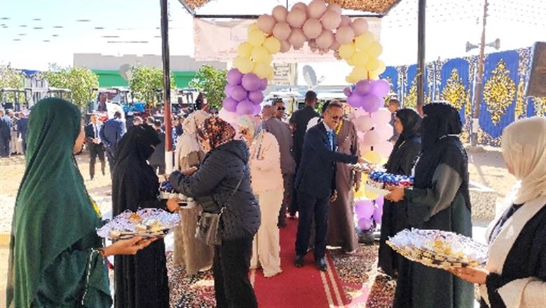 محافظة أسوان