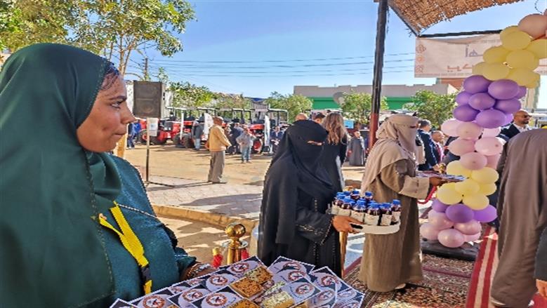 محافظة أسوان