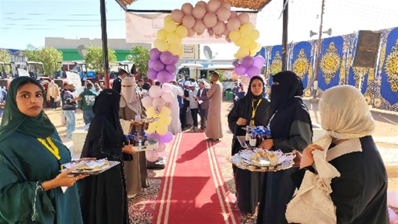 محافظة أسوان