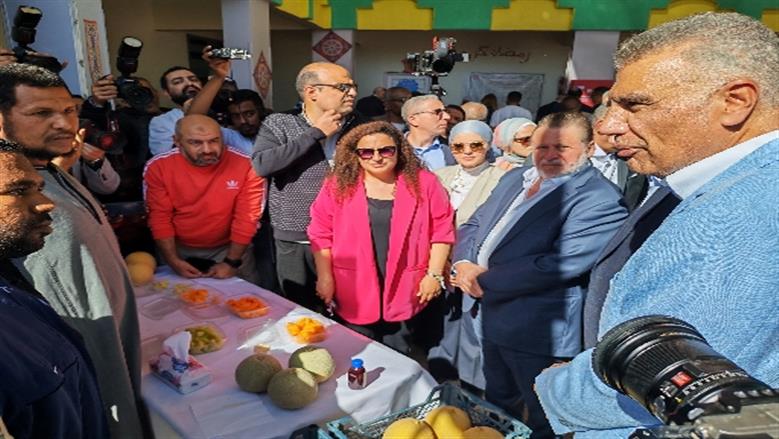 محافظة أسوان
