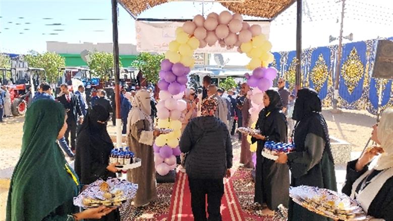 محافظة أسوان