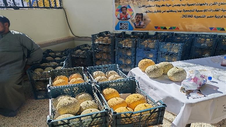 محافظة أسوان