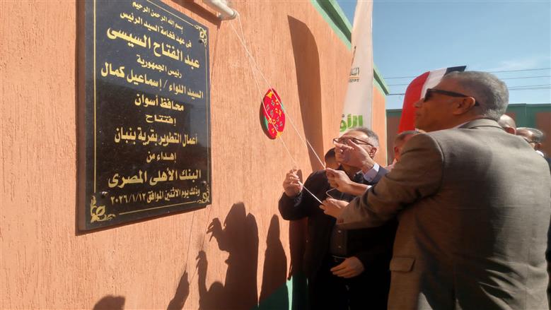 محافظة أسوان