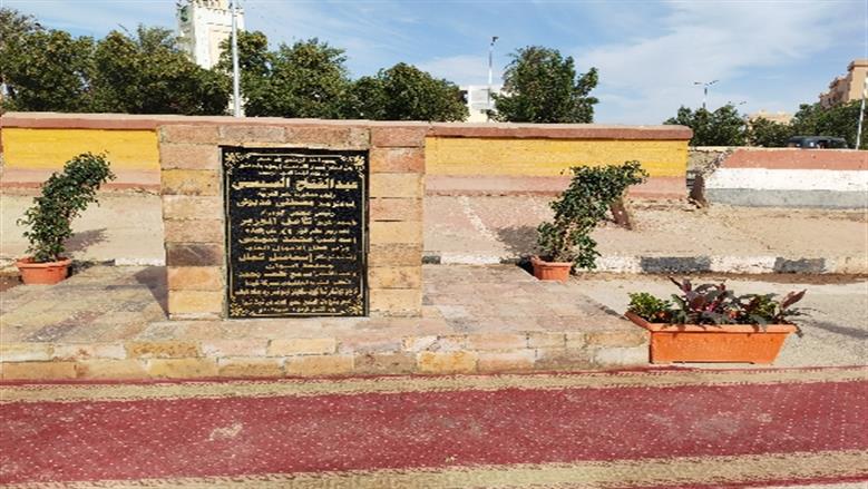 محافظة أسوان 