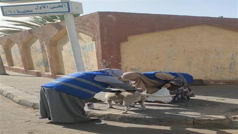 تطعيم 100 كلب ضال في مدينة العبور .. ورئيس الجهاز: لدينا خطة مستدامة