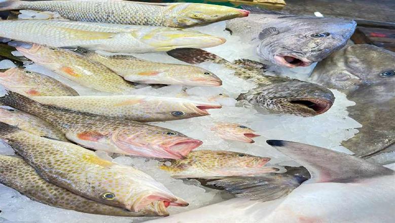 أجواء شتوية غير معتادة وارتفاع الأمواج يفرضان تحديات على مراكب الصيد في السويس