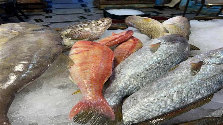 أجواء شتوية غير معتادة وارتفاع الأمواج يفرضان تحديات على مراكب الصيد في السويس