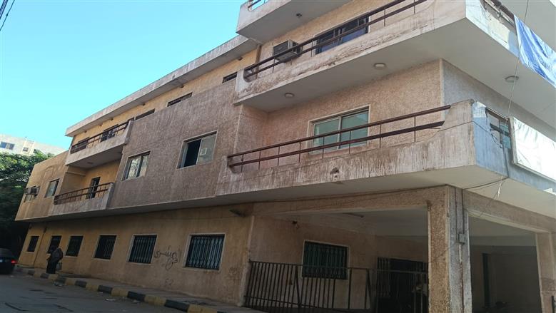 المنوفية