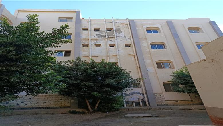 المنوفية