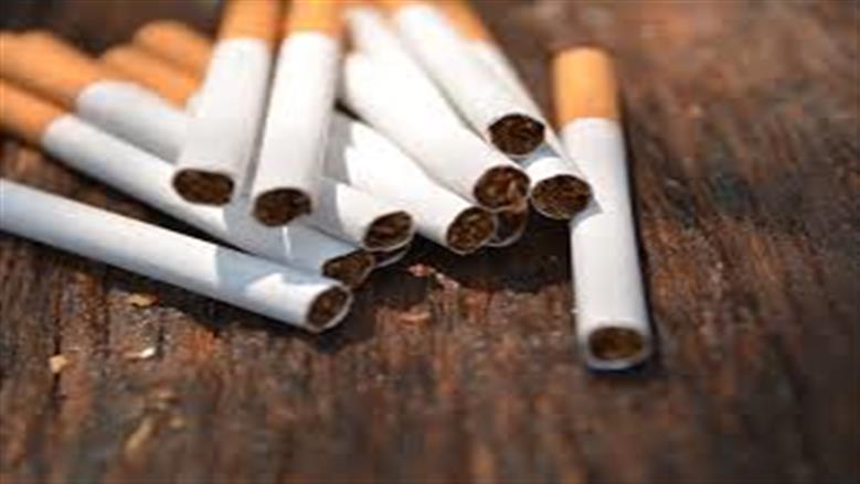 ciggierts