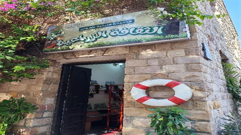 محافظة أسوان