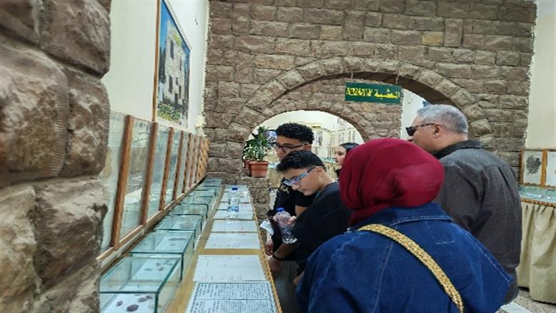 محافظة أسوان