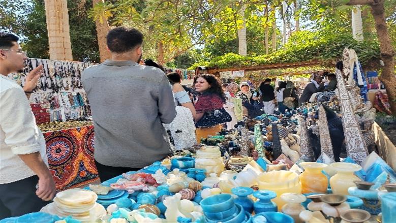 محافظة أسوان 