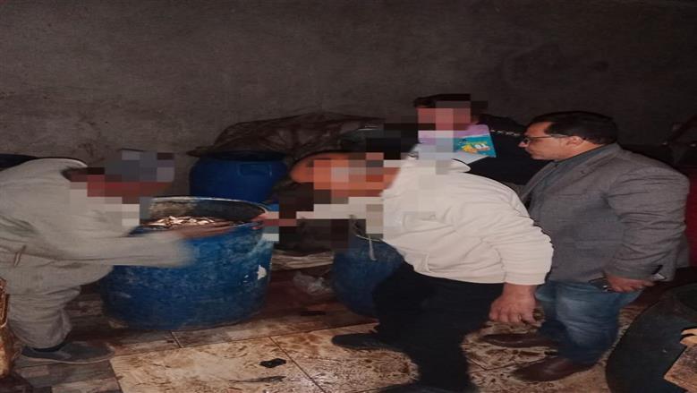 المنوفية 