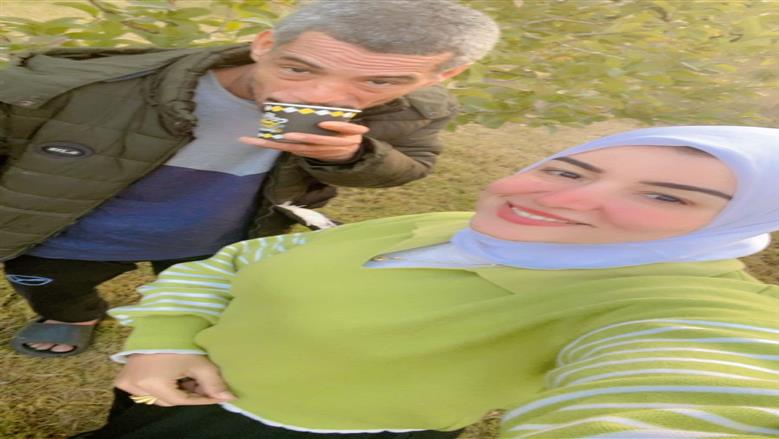 المنوفية