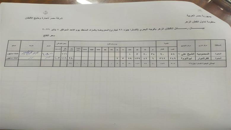 المنوفية