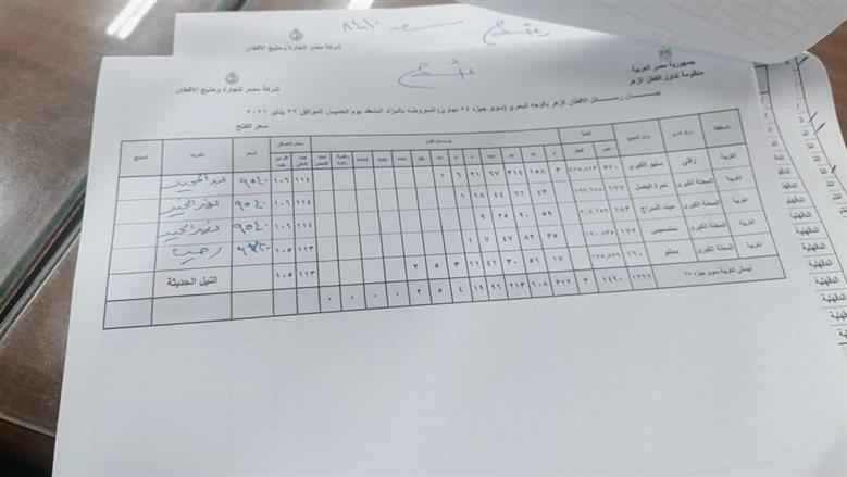 المنوفية