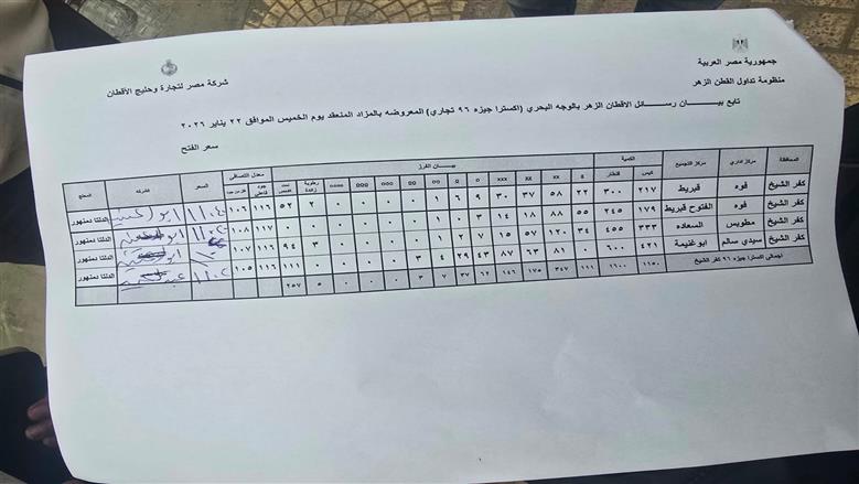المنوفية