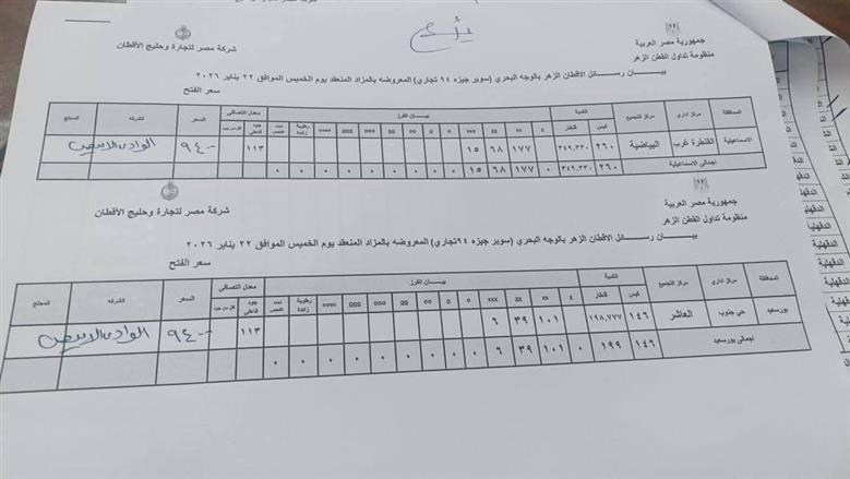 المنوفية