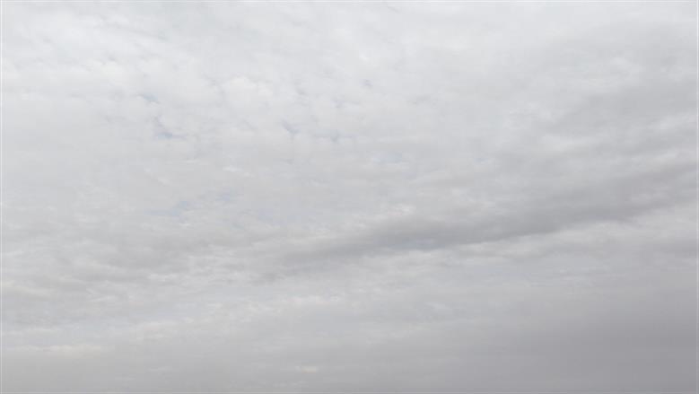 محافظة أسوان