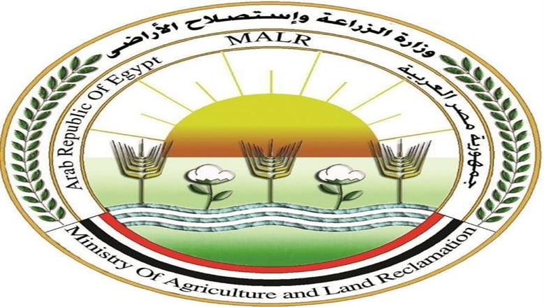 «الزراعة» تطمئن المزارعين: لا صحة لرصد جراد صحراوي في بئر العبد