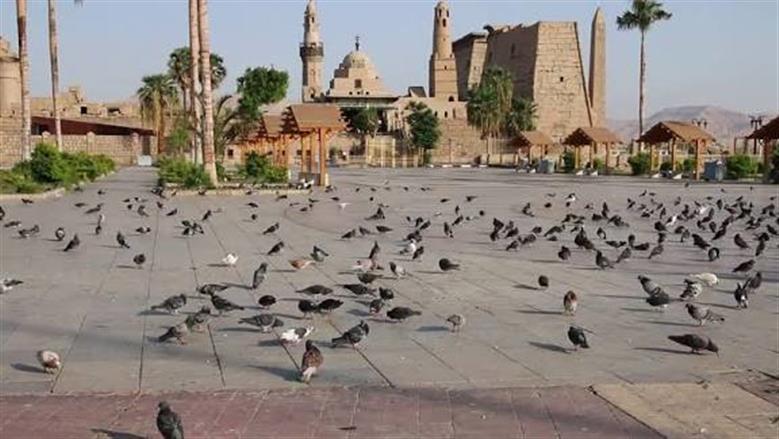 انتهاء استعدادات مولد العارف بالله أبو الحجاج الأقصري