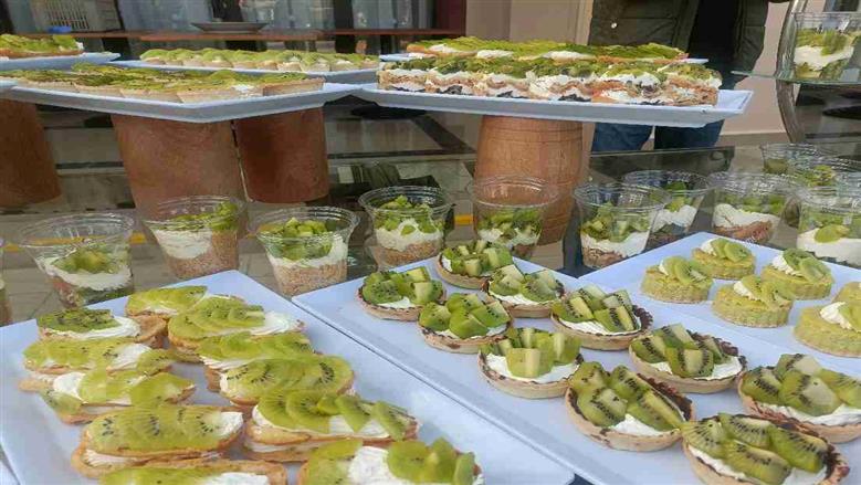 مهرجان كيوي في الغردقة 
