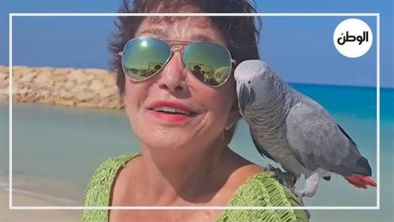 ببغاء زنجباري مفقود بالإسكندرية.. وصاحبه يرصد مكافأة لمن يعثر عليه