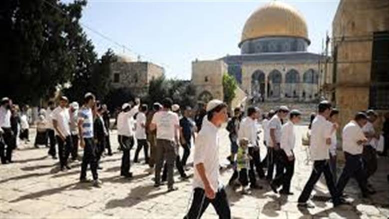 مستشار محافظ القدس: اعتداءات المستوطنين على التجمعات البدوية ليلا ونهارا