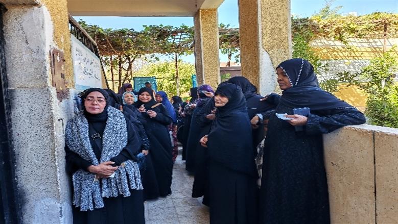 محافظة أسوان