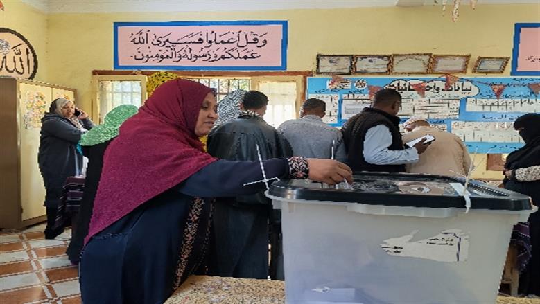 محافظة أسوان