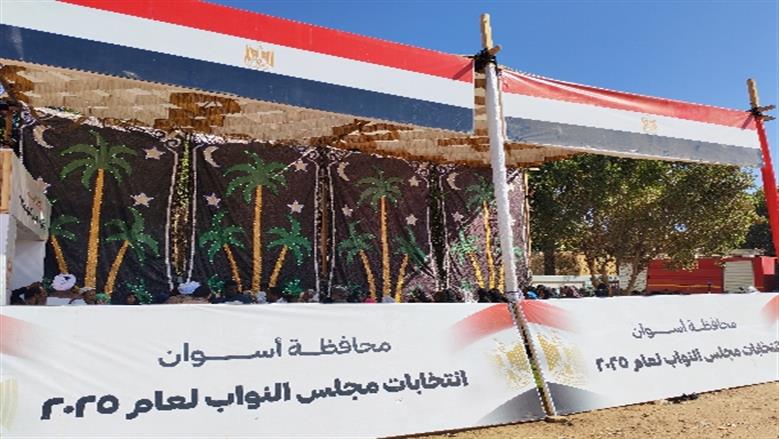 مشاركة انتخابية واسع في أبوالريش بأسوان.. المواطنون يدعمون مسار الديمقراطية