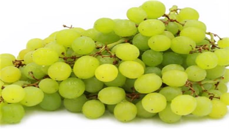 سعر العنب اليوم
