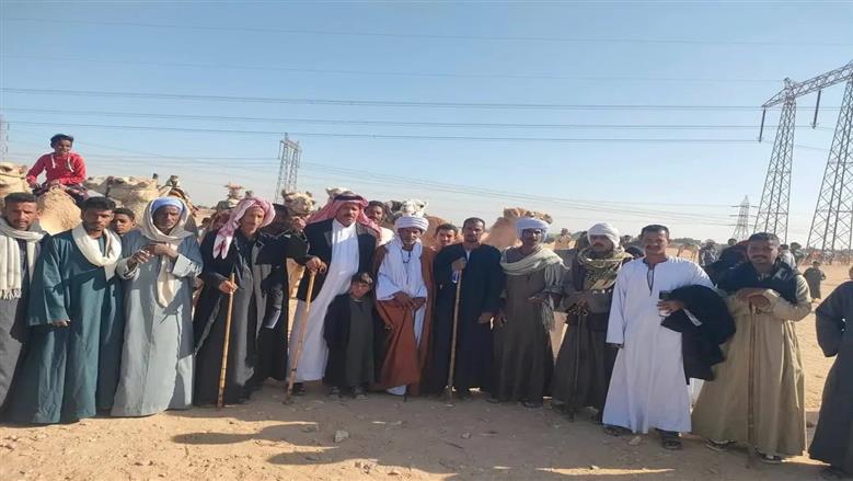 انطلاث سباق الهجن إسنا بالأقصر.. حضور دولي واسع واحتفال بالتراث الصحراوي الأصيل