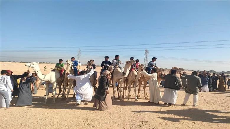 إسنا تبهر العالم.. سباق الهجن يشعل الأجواء بحضور دولي واسع